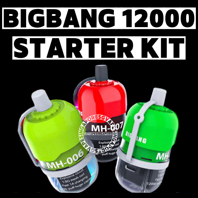 Big Bang 12000 Starter Kit - Sg Vape Singapore Delivery